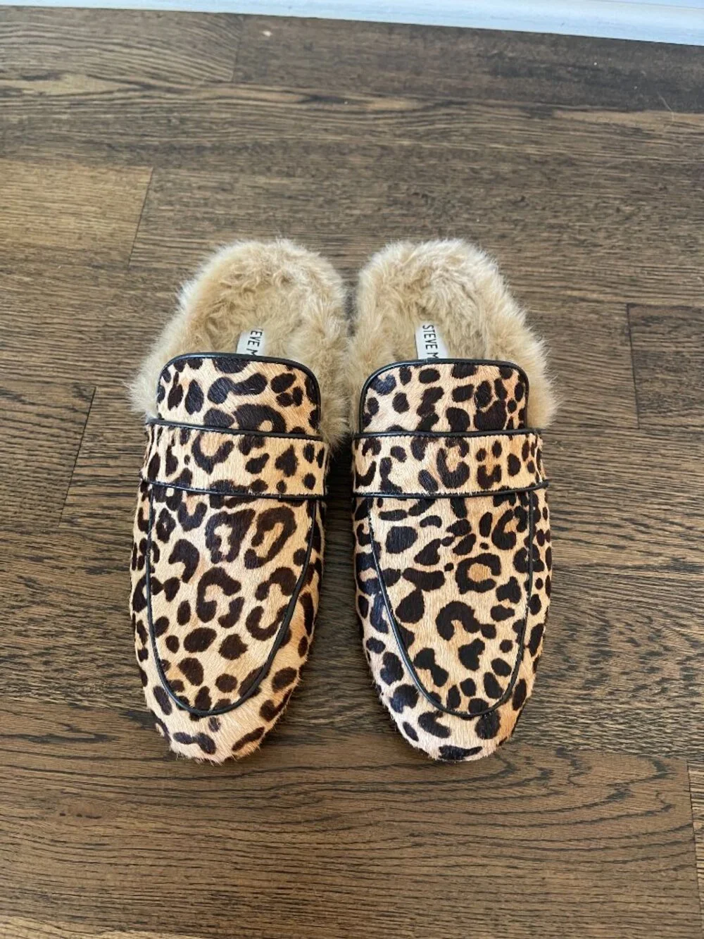 Steve Madden brand new